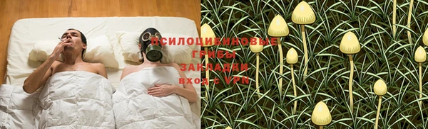 МДПВ Алексин