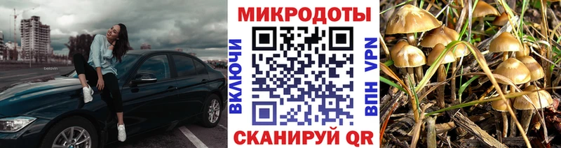 где купить наркоту  Иланский  Галлюциногенные грибы Magic Shrooms 