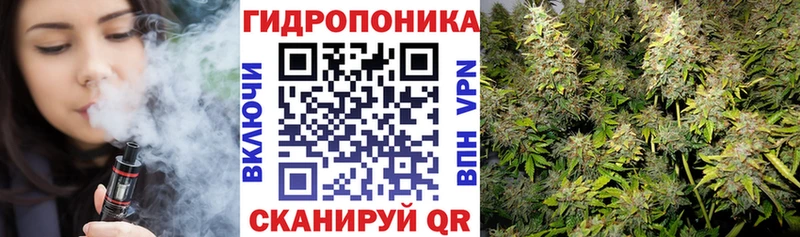 Канабис сатива Иланский
